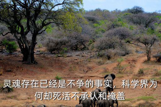 靈魂存在已經(jīng)是不爭(zhēng)的事實(shí)，科學(xué)界為何卻死活不承認(rèn)和掩蓋