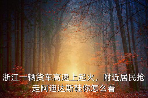 浙江一輛貨車高速上起火，附近居民搶走阿迪達(dá)斯鞋你怎么看