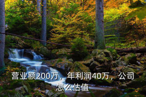 營業(yè)額200萬，年利潤40萬，公司怎么估值