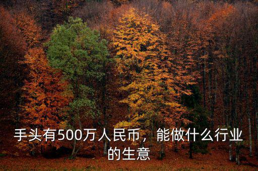 手頭有500萬人民幣，能做什么行業(yè)的生意