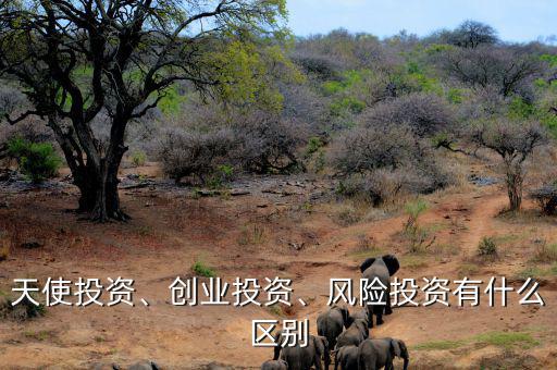 天使投資、創(chuàng)業(yè)投資、風險投資有什么區(qū)別