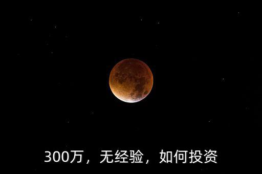 300萬，無經(jīng)驗(yàn)，如何投資
