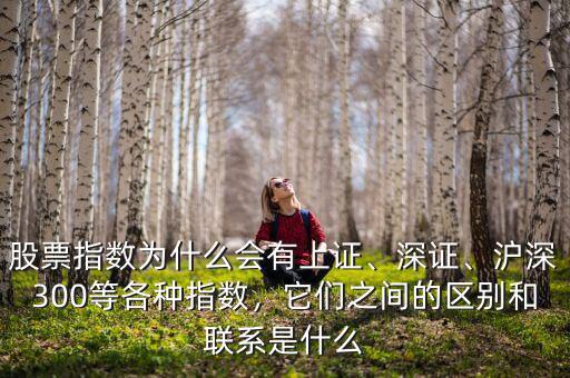 股票指數(shù)為什么會有上證、深證、滬深300等各種指數(shù)，它們之間的區(qū)別和聯(lián)系是什么