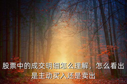股票中的成交明細怎么理解，怎么看出是主動買入還是賣出