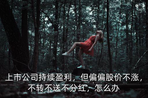 上市公司持續(xù)盈利，但偏偏股價(jià)不漲，不轉(zhuǎn)不送不分紅，怎么辦