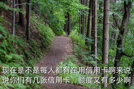現(xiàn)在是不是每人都有在用信用卡啊來說說你們有幾張信用卡，額度又有多少啊