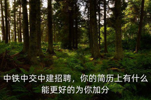 中鐵中交中建招聘，你的簡歷上有什么能更好的為你加分