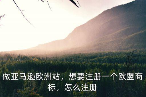 做亞馬遜歐洲站，想要注冊(cè)一個(gè)歐盟商標(biāo)，怎么注冊(cè)