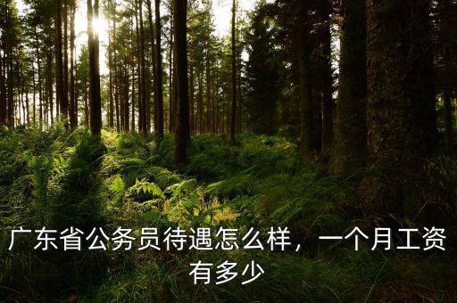 廣東省公務(wù)員待遇怎么樣，一個(gè)月工資有多少