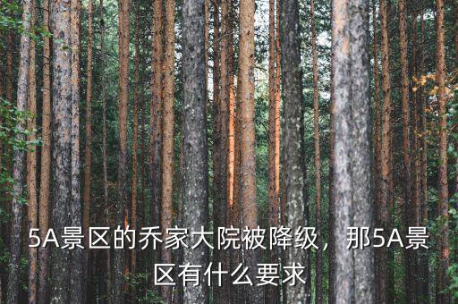 5A景區(qū)的喬家大院被降級，那5A景區(qū)有什么要求