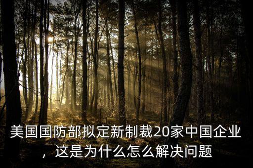 美國(guó)國(guó)防部擬定新制裁20家中國(guó)企業(yè)，這是為什么怎么解決問題
