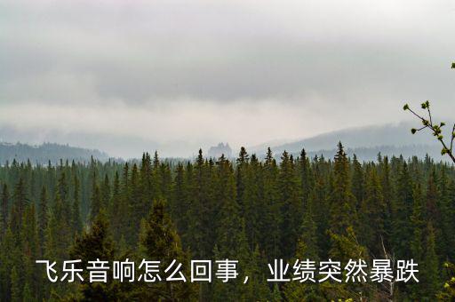 飛樂音響怎么回事，業(yè)績突然暴跌