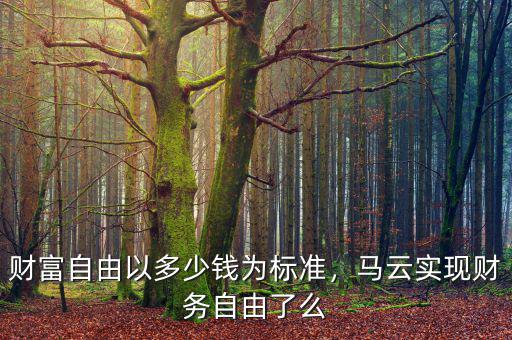 財(cái)富自由以多少錢為標(biāo)準(zhǔn)，馬云實(shí)現(xiàn)財(cái)務(wù)自由了么