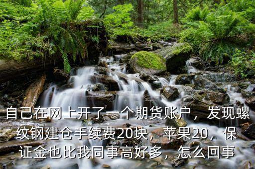 自己在網上開了一個期貨賬戶，發(fā)現螺紋鋼建倉手續(xù)費20塊，蘋果20，保證金也比我同事高好多，怎么回事