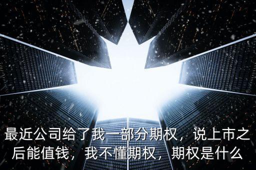 最近公司給了我一部分期權，說上市之后能值錢，我不懂期權，期權是什么
