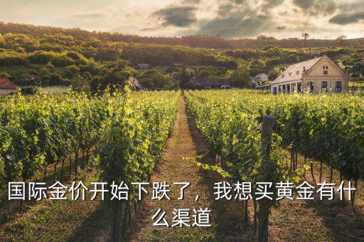 國際金價開始下跌了，我想買黃金有什么渠道