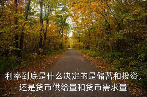 利率到底是什么決定的是儲蓄和投資，還是貨幣供給量和貨幣需求量