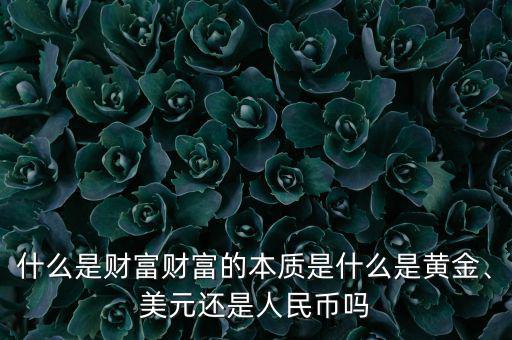 什么是財(cái)富財(cái)富的本質(zhì)是什么是黃金、美元還是人民幣嗎