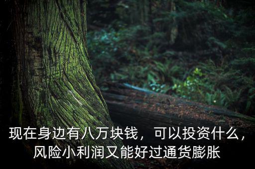 現(xiàn)在身邊有八萬塊錢，可以投資什么，風(fēng)險小利潤又能好過通貨膨脹
