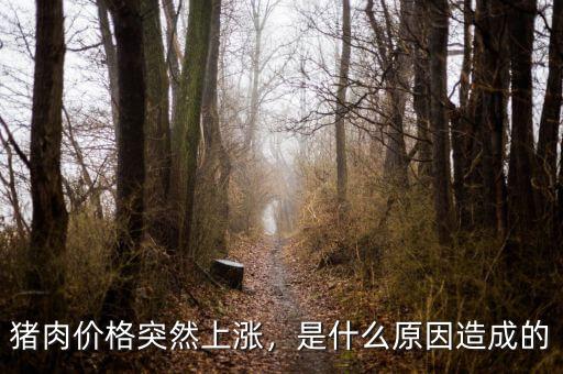 豬肉價(jià)格突然上漲，是什么原因造成的