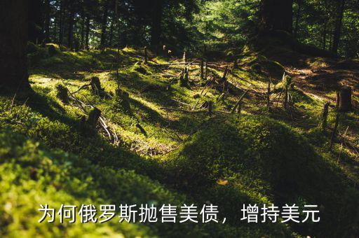 為何俄羅斯拋售美債，增持美元