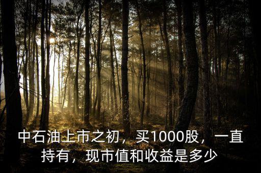 中石油上市之初，買1000股，一直持有，現(xiàn)市值和收益是多少