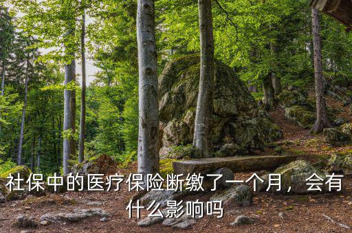 社保中的醫(yī)療保險斷繳了一個月，會有什么影響嗎