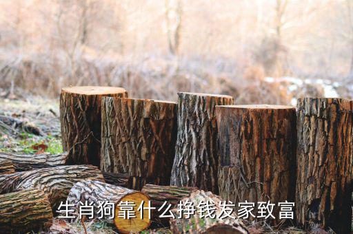 財(cái)富增值全靠它是什么生肖,哪個(gè)生肖最會積累財(cái)富