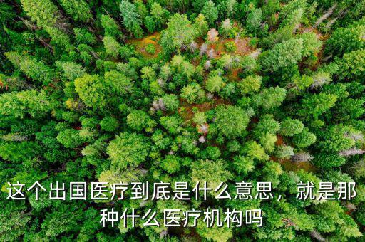 這個出國醫(yī)療到底是什么意思，就是那種什么醫(yī)療機構(gòu)嗎