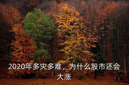 2020年多災(zāi)多難，為什么股市還會大漲
