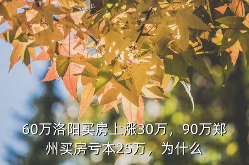 60萬洛陽買房上漲30萬，90萬鄭州買房虧本25萬，為什么