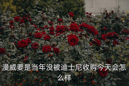 迪士尼什么時(shí)候收購漫威,迪士尼收購?？怂?/></a></span><span id=