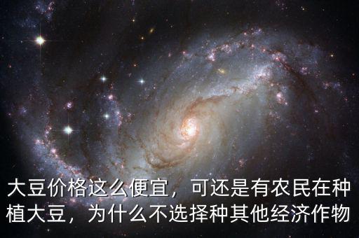 大豆價格這么便宜，可還是有農(nóng)民在種植大豆，為什么不選擇種其他經(jīng)濟(jì)作物
