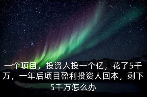 一個項目，投資人投一個億，花了5千萬，一年后項目盈利投資人回本，剩下5千萬怎么辦