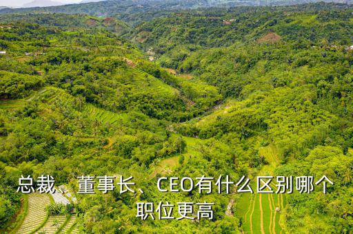 總裁、董事長(zhǎng)、CEO有什么區(qū)別哪個(gè)職位更高