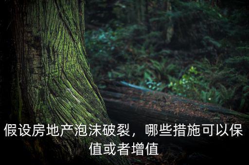假設房地產泡沫破裂，哪些措施可以保值或者增值
