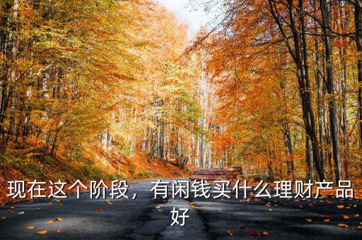 現(xiàn)在這個階段，有閑錢買什么理財產(chǎn)品好