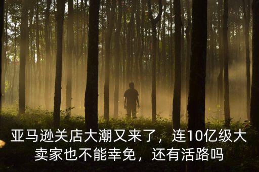 亞馬遜關(guān)店大潮又來(lái)了，連10億級(jí)大賣(mài)家也不能幸免，還有活路嗎