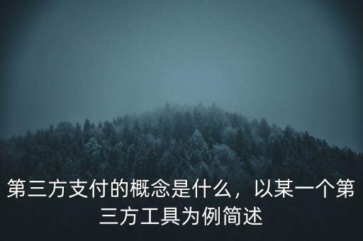 第三方支付的概念是什么，以某一個(gè)第三方工具為例簡(jiǎn)述