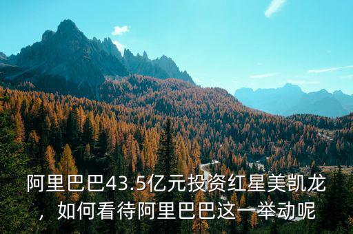 阿里巴巴43.5億元投資紅星美凱龍，如何看待阿里巴巴這一舉動(dòng)呢