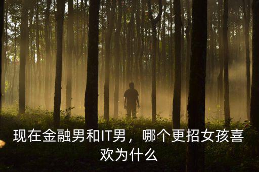 現(xiàn)在金融男和IT男，哪個更招女孩喜歡為什么