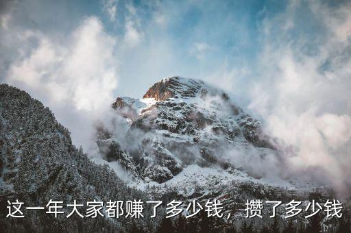 這一年大家都賺了多少錢，攢了多少錢