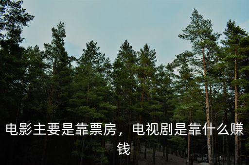 電影主要是靠票房，電視劇是靠什么賺錢