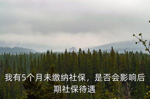 我有5個月未繳納社保，是否會影響后期社保待遇