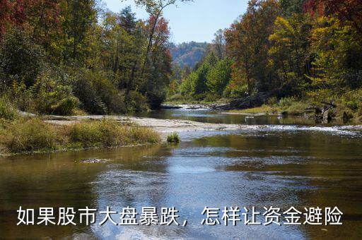 如果股市大盤暴跌，怎樣讓資金避險
