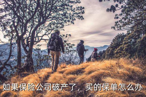 如果保險(xiǎn)公司破產(chǎn)了，買的保單怎么辦