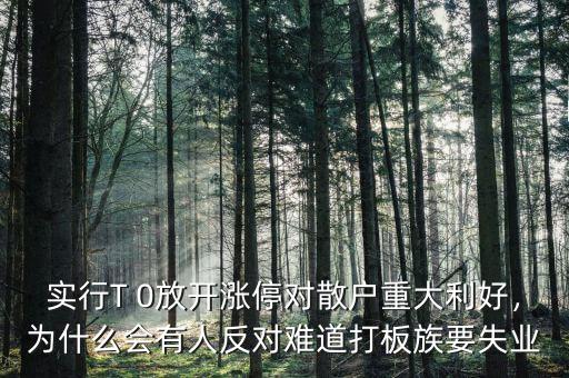實行T 0放開漲停對散戶重大利好，為什么會有人反對難道打板族要失業(yè)