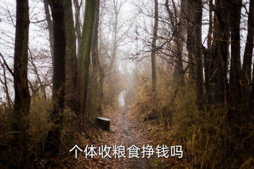 個(gè)體收糧食掙錢(qián)嗎