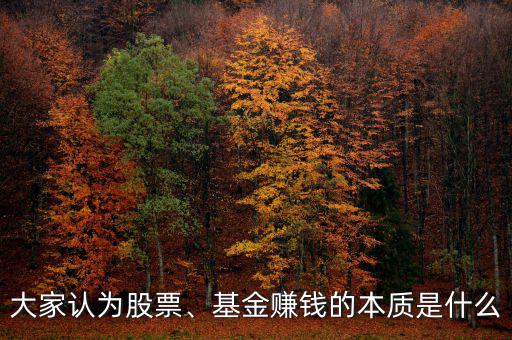 大家認(rèn)為股票、基金賺錢的本質(zhì)是什么