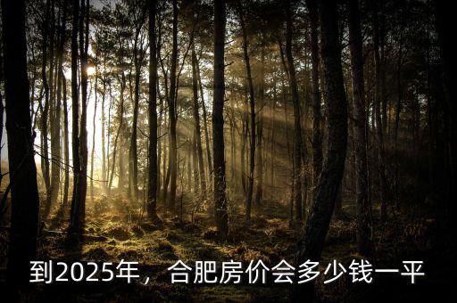 到2025年，合肥房價會多少錢一平